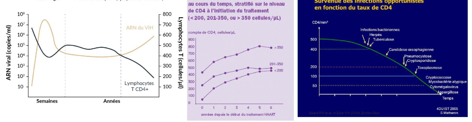 Infections opportunistes VIH+