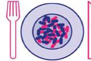Épidémiologie asthme