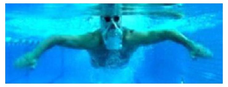 Position de la tête en brasse