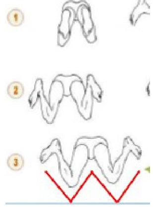 Position des jambes pendant la phase de retour