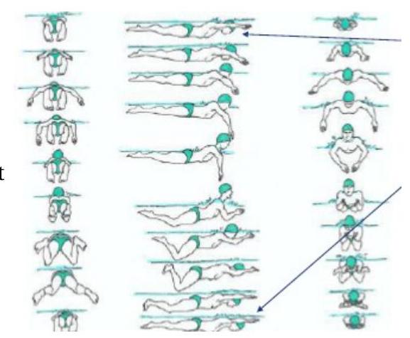 Position de la tête et coordination
