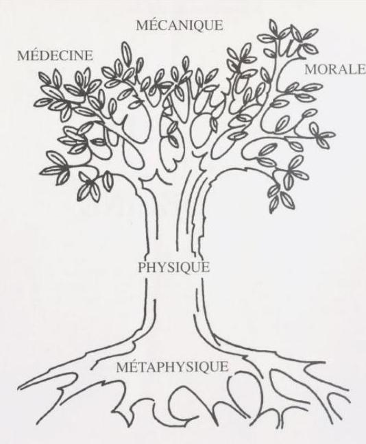 Illustration du cogito et intuition