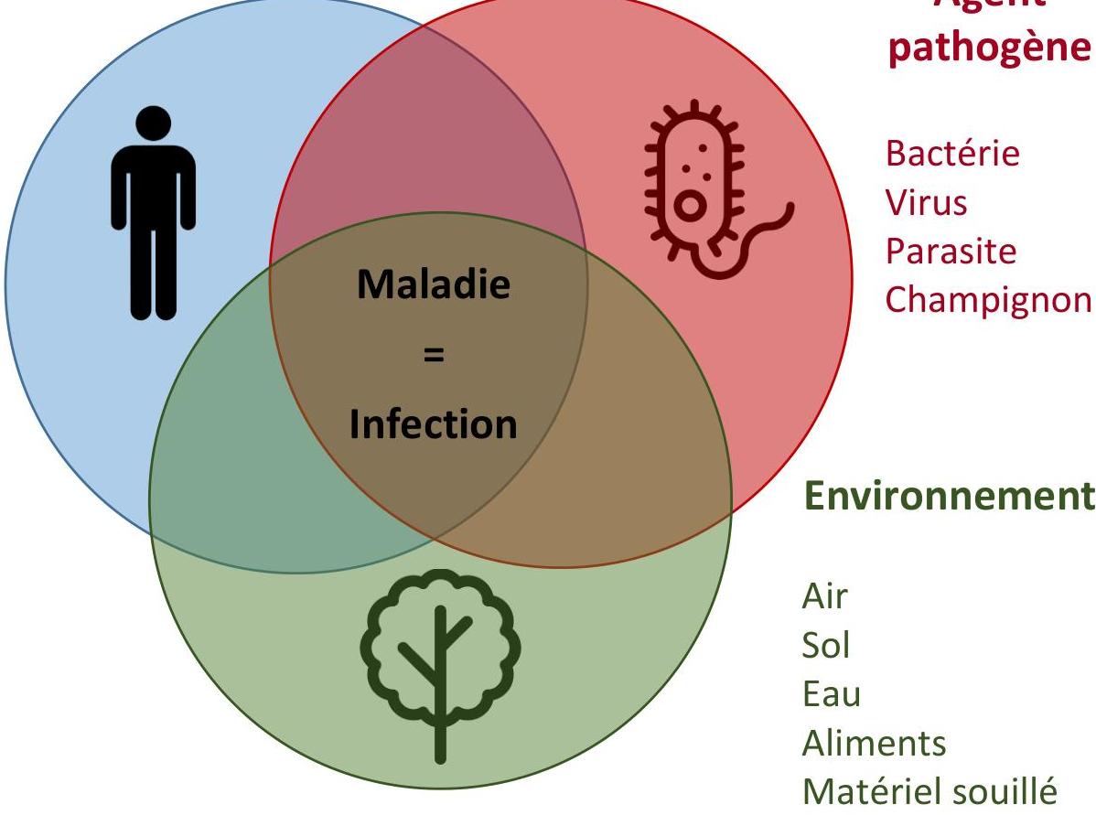 Hôte réceptif, agent pathogène et environnement