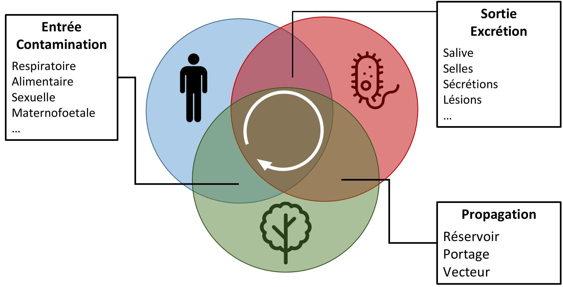 Chaîne de transmission